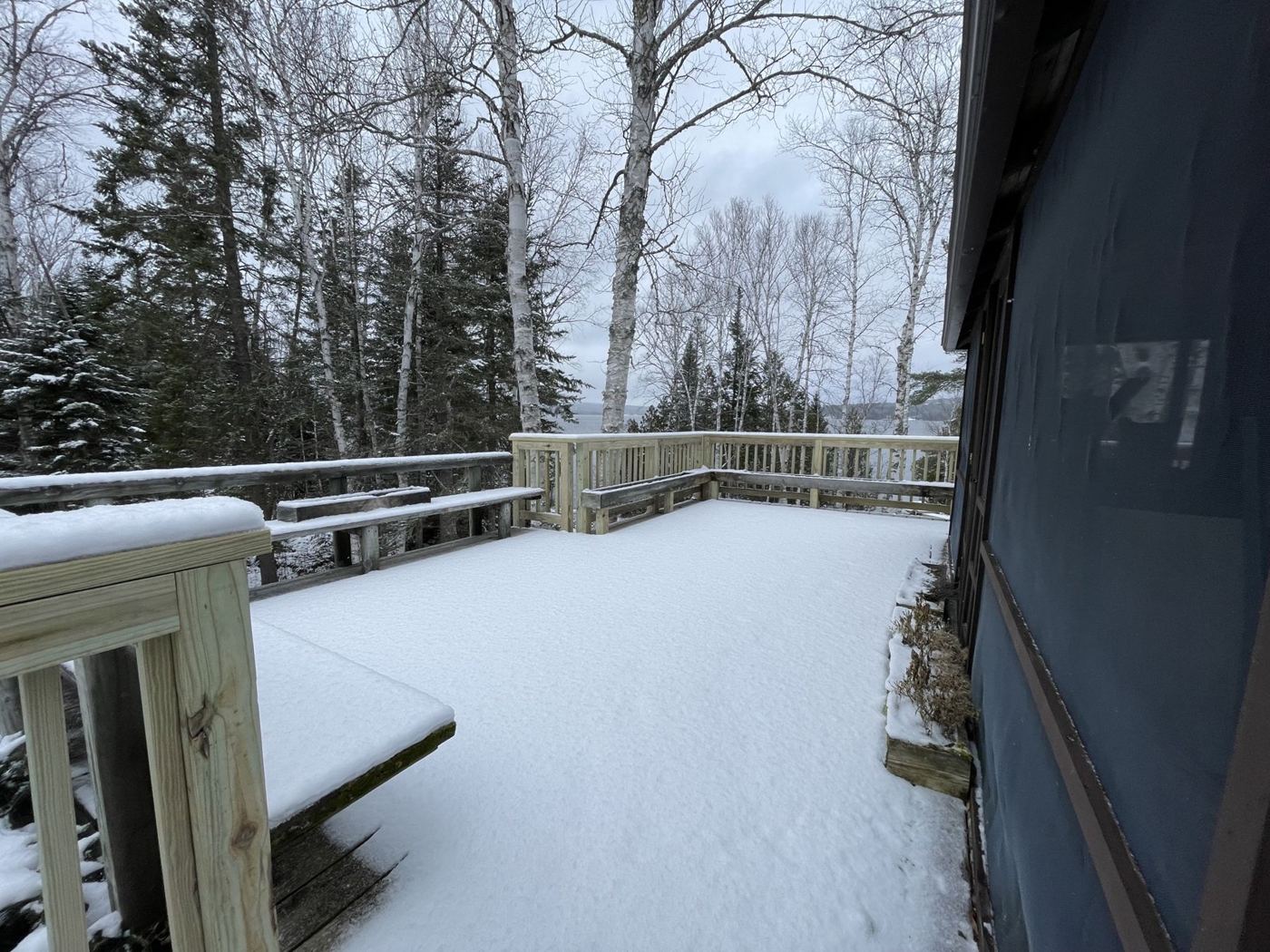New deck with built-in benches looking through birches to the lake