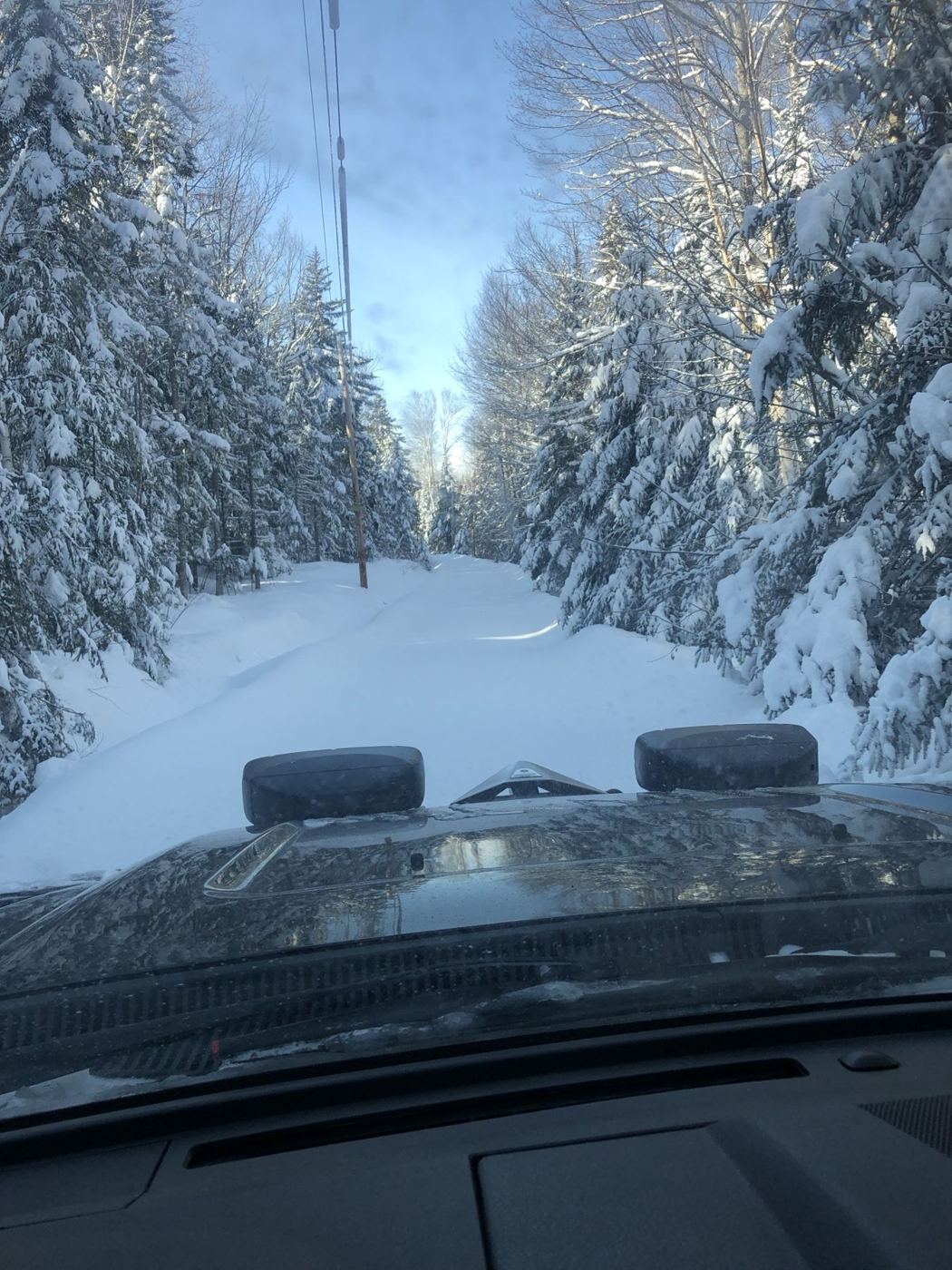 View over the plow hood down a snowy road through spruce trees